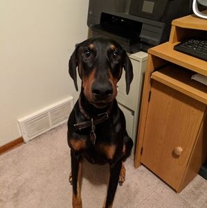 Meet your Posher, Michael